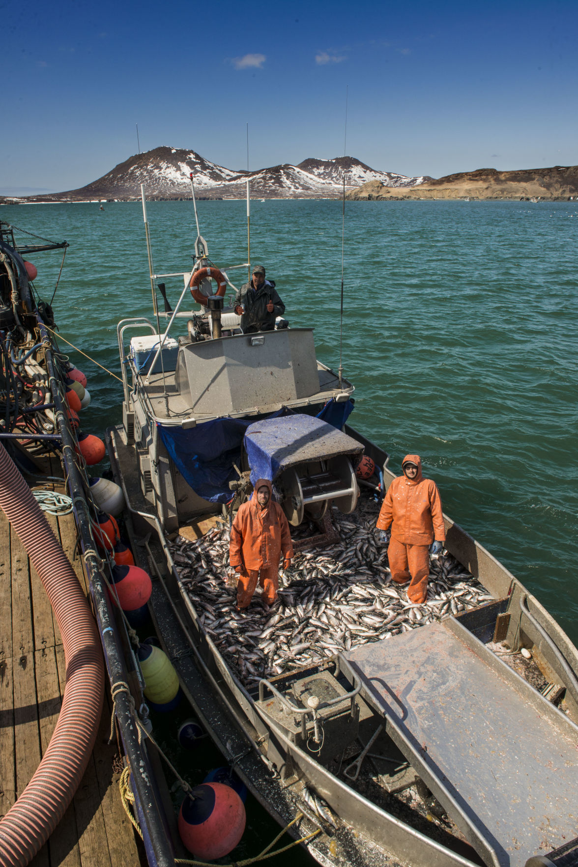 Bristol Bay Fishing by Johnson.jpg
